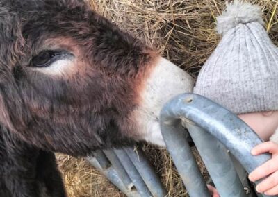 bébé avec un ane