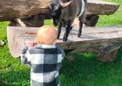 enfant avec une chevre